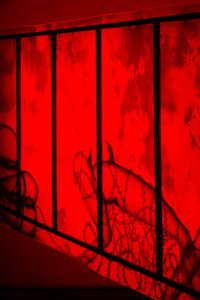 09_STA0210XS_sRGB_fotoAnsisStarks