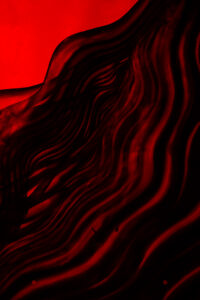 09_STA0249XS_sRGB_fotoAnsisStarks